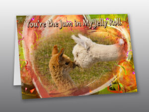 Baby Alpacas Valentine Card - Moment of Perception Photography