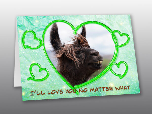 Llama Valentine Card - Moment of Perception Photography
