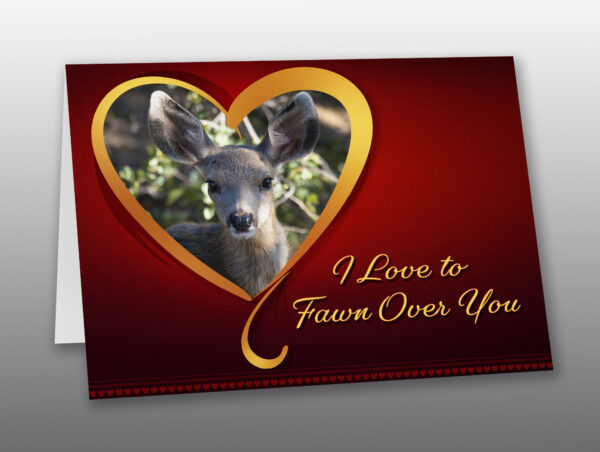 fawn valentine card - Moment of Perception Photography
