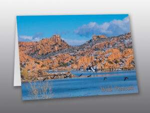 watson lake in winter - Moment of Perception Photography