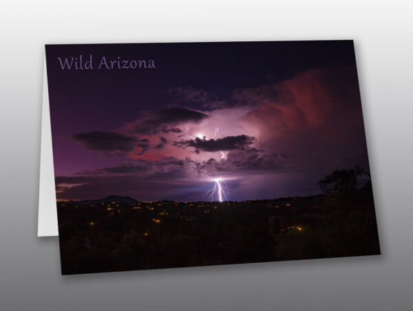 lightning storm - Moment of Perception Photography