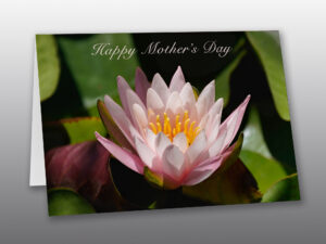 mothers-day-card - Moment-of-Perception-Photography