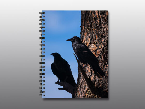ravens perched in a tree - Moment of Perception Photography
